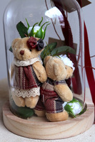 Teddy Red, kompozycja pod szklanym kloszem