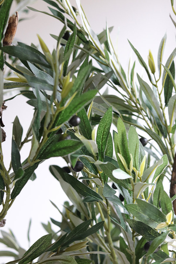 Oliwka Basket, sztuczne drzewko w koszu