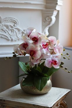 Pink Goldie, gumowy storczyk w złotej donicy, wys.42cm  