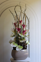 Kalia & Anturium, nowoczesna kompozycja w beżowej donicy