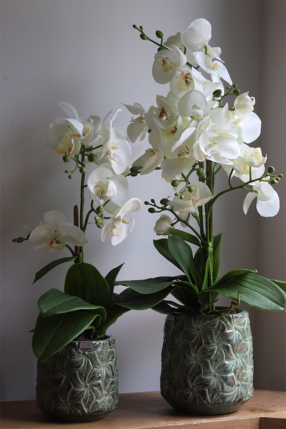 Nedila 2, sztuczny storczyk w zielonej osłonce