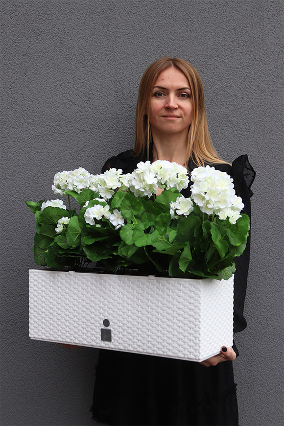 Summer Balcony New, białe pelargonie w skrzynce balkonowej