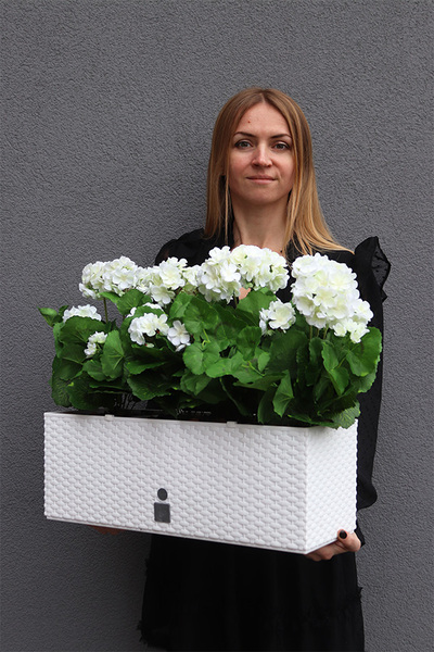 Summer Balcony New, białe pelargonie w skrzynce balkonowej