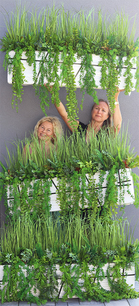 Agneso Greenoso, kompozycja we wkładzie do Twojej donicy