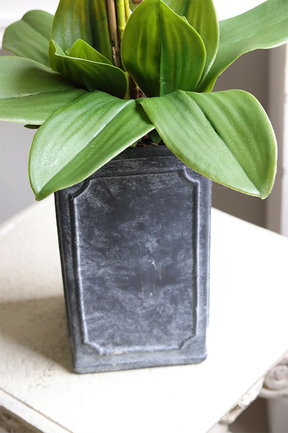 Nemena, gumowy storczyk w donicy vintage