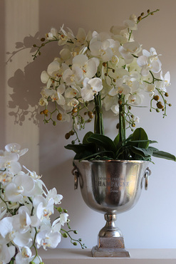 OD RĘKI Deluxe Silver, storczyk w srebrnym pucharze, wys.88cm