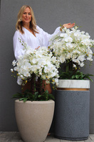 Beigenate, sztuczny storczyk w ceramicznej donicy