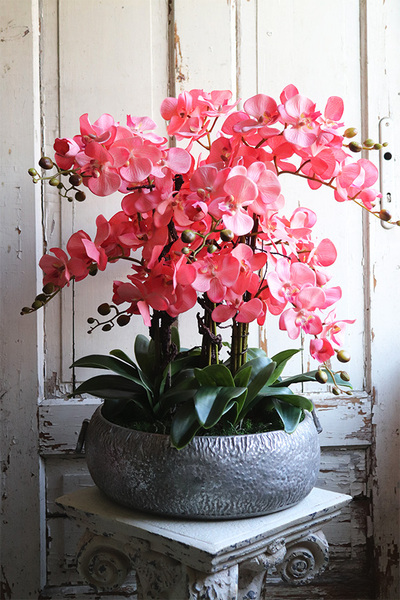 Koralovy, różowy storczyk w metalowej misie, wys.68cm