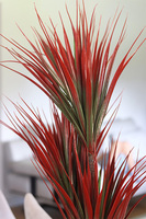 Dracena Ruda, wysokiej jakości sztuczna roślina