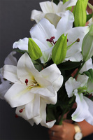 Liliowe Love, bukiet białych lilii z pąkami