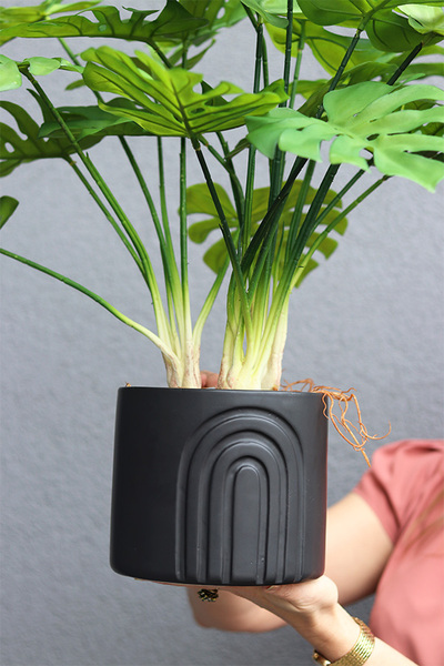 Monstera Black Moment, drzewko sztuczne w donicy