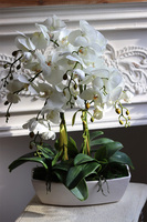 Cremisana Leas, sztuczny storczyk w białej donicy