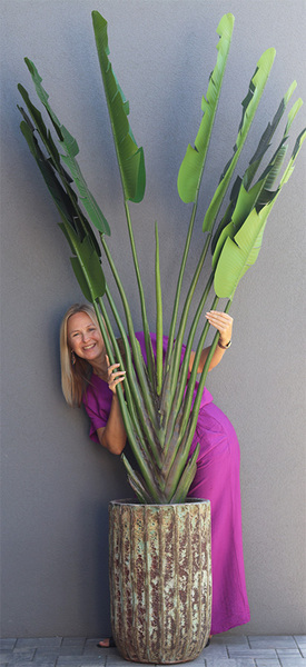 Bananowiec Grande Hilton, sztuczna roślina w donicy, wys.250cm