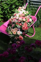 Barrow Pink, dekoracja kwiatowa na taczce 
