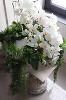 dekoracja w stretchu sukulenty ze storczykiem, Andżelika Saute, wym.64x65cm