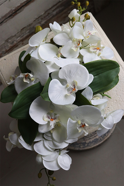 Dekoriato, kompozycja z orchideą w owalnej misie, wym.18x60cm