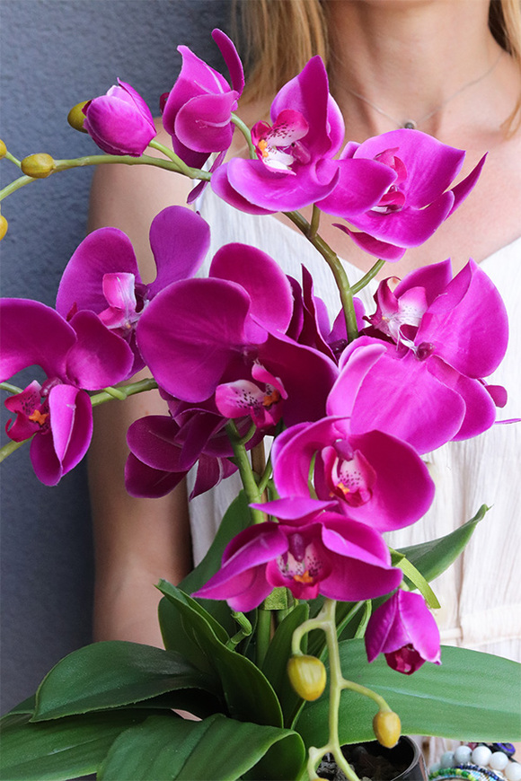 Fuksja Mini Black, sztuczny storczyk w naczyniu