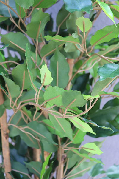 Fikus Benjamin K Ares, sztuczna roślina w donicy