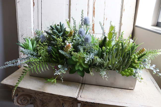 dekoracja zielona Sukulenty w stalowej donicy, Suculenti Steel, wym.30x66cm