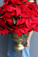 Gwiazda Betlejemska Złotti, wysokiej jakości sztuczna roślina