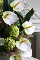 Terene Anturium, kompozycja kwiatowa z proteą