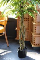 Mangowiec, sztuczna roślina w doniczce