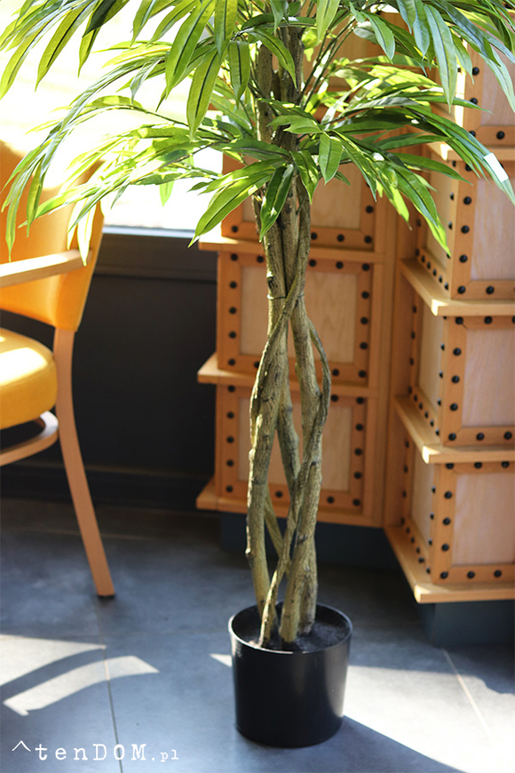 Mangowiec, sztuczna roślina w doniczce