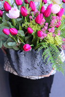 Tulippe Amarant Volcan, komplet dekoracji nagrobnych