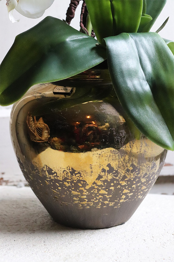 Jedolla, storczyk w złotej doniczce