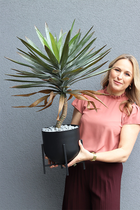 Jukka Florida Black, sztuczna roślina w ozdobnej donicy