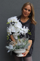 Frozen Orchid, elegancki storczyk zimowy w pucharze