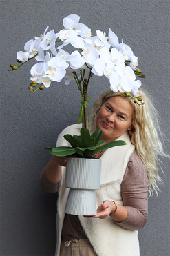 Nerette, storczyk w nowoczesnym pucharze, wys.77cm