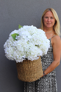 Hydrangea Bali, bogaty kosz z hortensjami, wym.60x50cm
