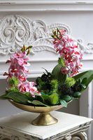 Cesareo gumowy storczyk w pucharze