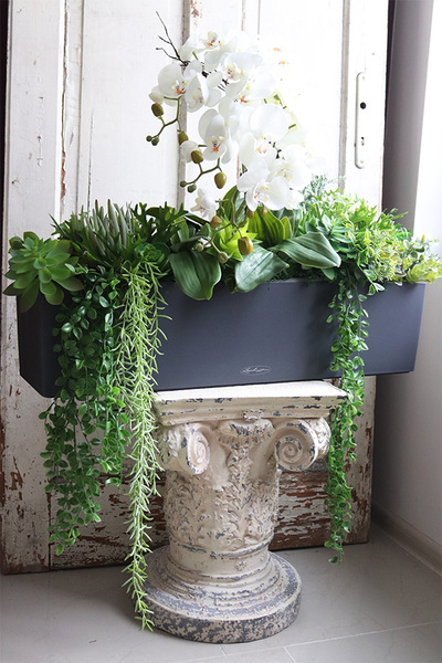 dekoracja sukulenty ze storczykiem, Andżelika Balconera, wym.64x80cm