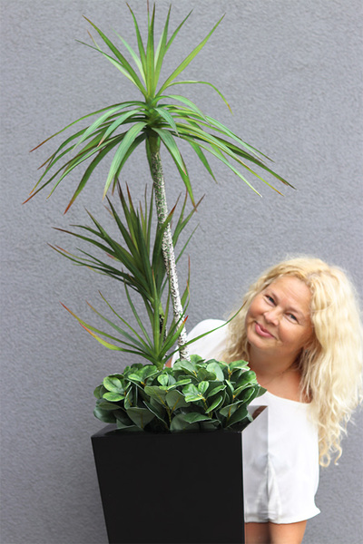 Dracena Fiberglass, sztuczna roślina w donicy fiberglass