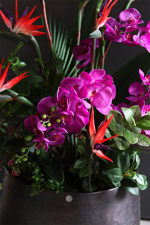 Strelicja&Orchidea Lux, egzotyczna kompozycja