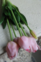 April New, bukiet tulipanów silikonowych Śmietankowy Różowy