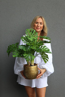 Monstera Gold Hilton, drzewko sztuczne w donicy