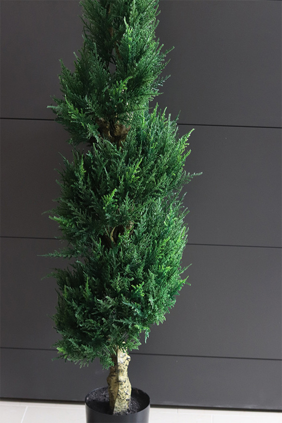 Cyprys, sztuczna roślina w doniczce