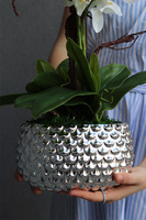 Silver Fretana, sztuczny storczyk w srebrnej misie