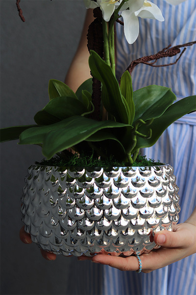 Silver Fretana, sztuczny storczyk w srebrnej misie