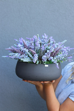 Lavendina, kompozycja kwiatowa w ceramicznej misie, wym.26x40cm 