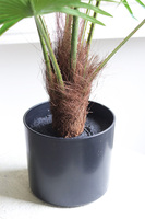 Palma Livistona, sztuczna roślina w doniczce