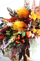 Aurora Fall, jesienna kompozycja w donicy