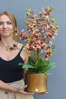 Thai Selania Gold, sztuczny storczyk