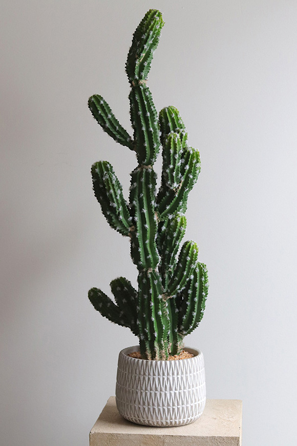 Kaktus A, sztuczna roślina w osłonce z tworzywa sztucznego, dł.83cm