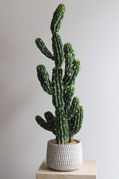 Kaktus A, sztuczna roślina w osłonce z tworzywa sztucznego, dł.83cm