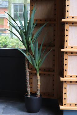 Jukka Modena, sztuczna roślina drzewko, wys.107cm