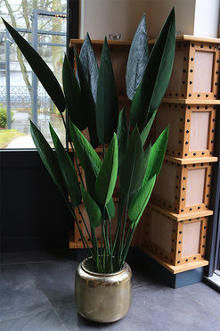 Strelicja Goldigo, sztuczna roślina w doniczce, wys.125cm